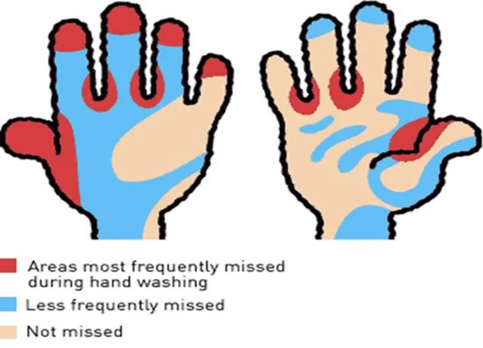 All Employees. Handwashing Advisory