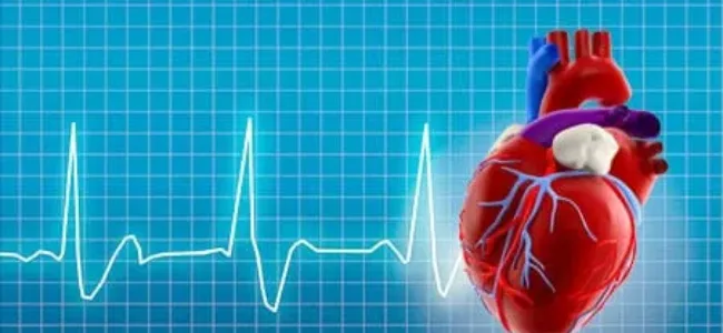 Healthy Heart